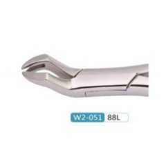 Woodpecker Extracting Forcep 88L